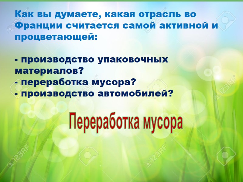 Как вы думаете, какая отрасль во Франции считается самой активной и процветающей:  -